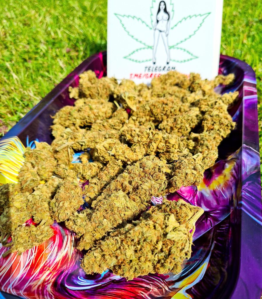 Amnesia Weed