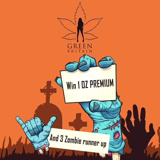 Halloween 2022 and Updates